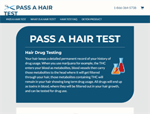 Tablet Screenshot of passahairtest.com